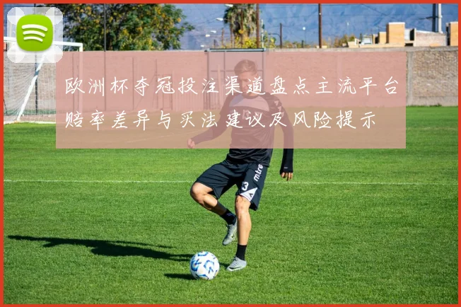 欧洲杯夺冠投注渠道盘点主流平台赔率差异与买法建议及风险提示