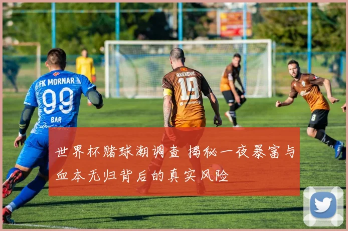 世界杯赌球潮调查 揭秘一夜暴富与血本无归背后的真实风险