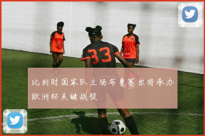 比利时国家队主场布鲁塞尔将承办欧洲杯关键战役