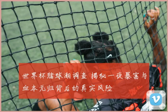 世界杯赌球潮调查 揭秘一夜暴富与血本无归背后的真实风险