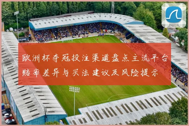欧洲杯夺冠投注渠道盘点主流平台赔率差异与买法建议及风险提示
