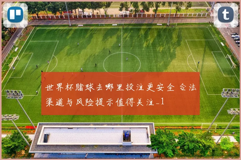 世界杯赌球去哪里投注更安全 合法渠道与风险提示值得关注_1